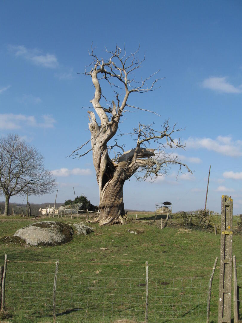 220709-chapelle-etienne-balade-bocage