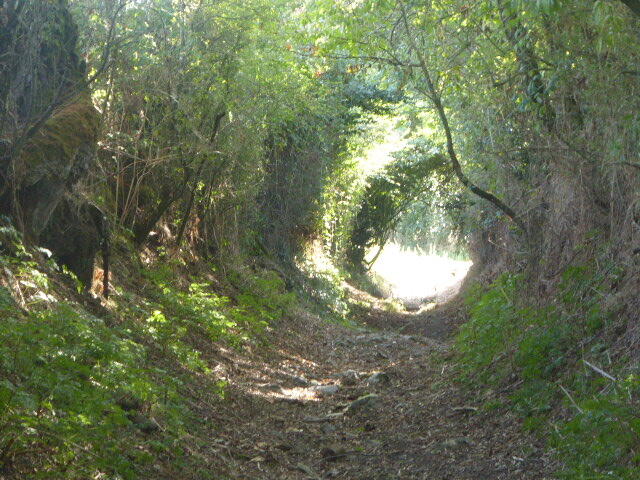220826-clesse-balade-bocage