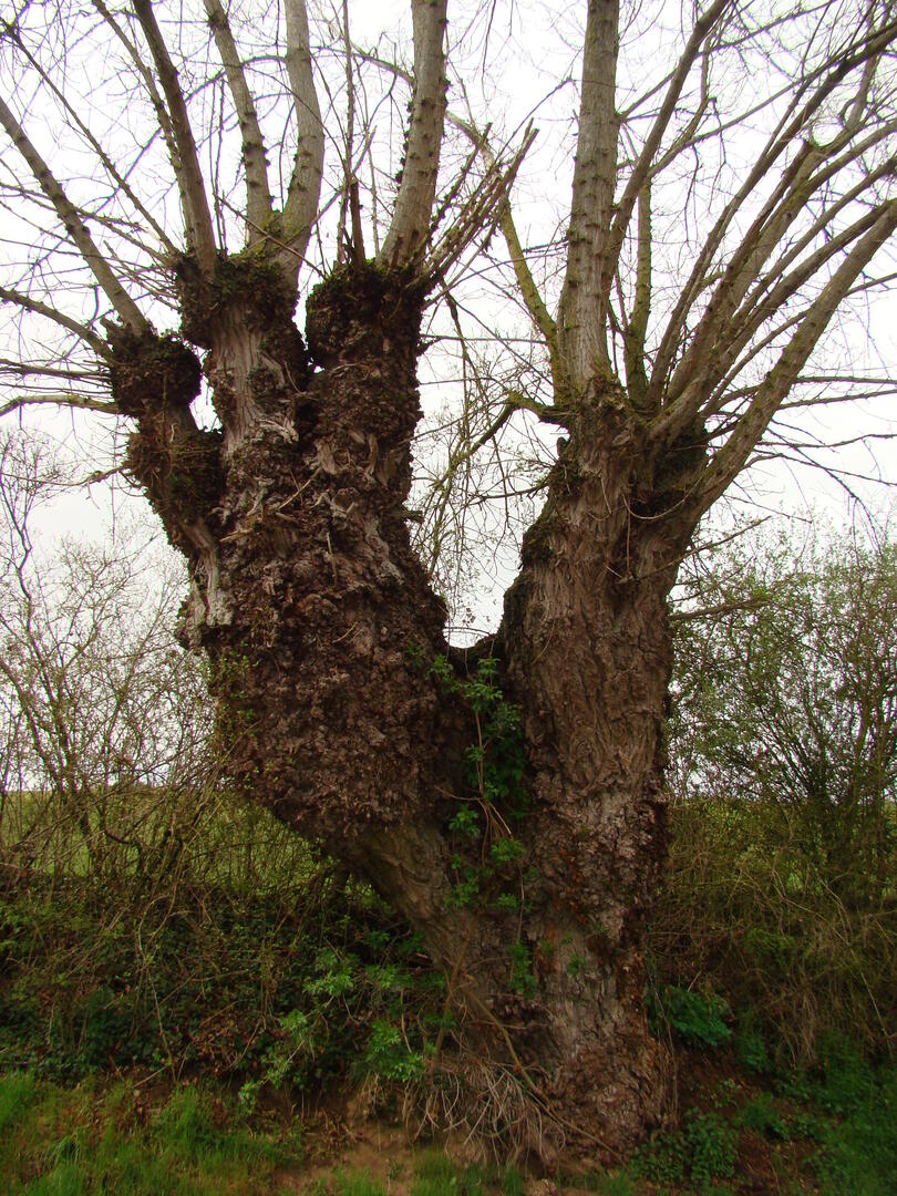 220924-noirlieu-balade-bocage