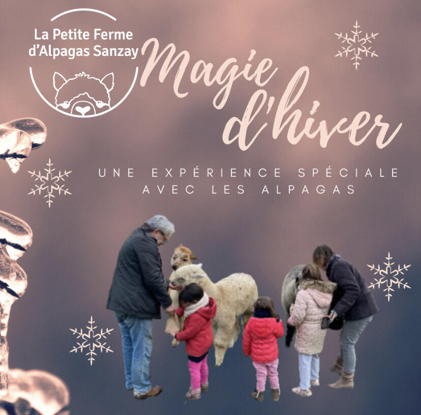 221203-magie-hiver-alpagas-sanzay