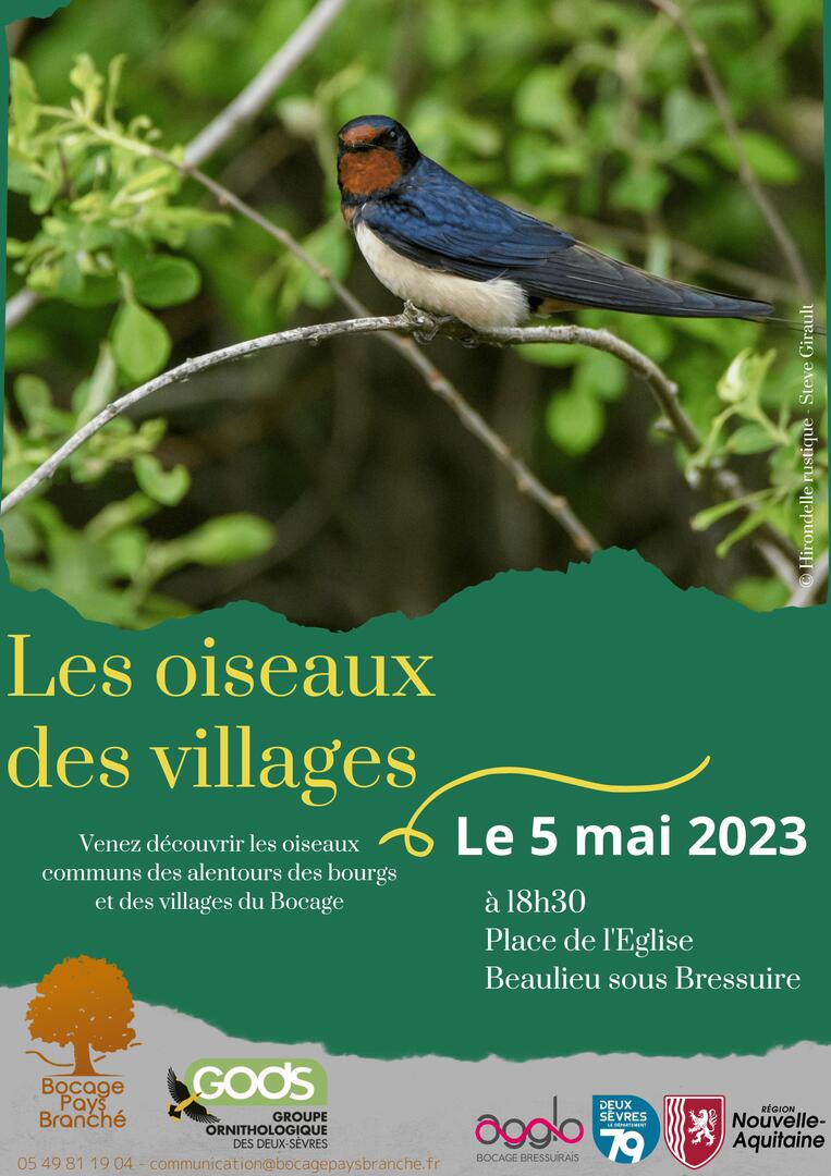 Les oiseaux des villages 5-05-23 - 1