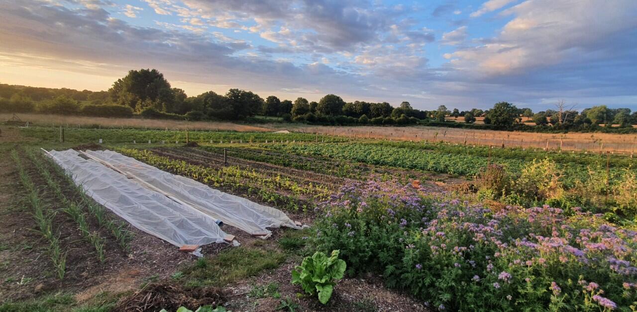 230822-visite-estivale-saint-marsault