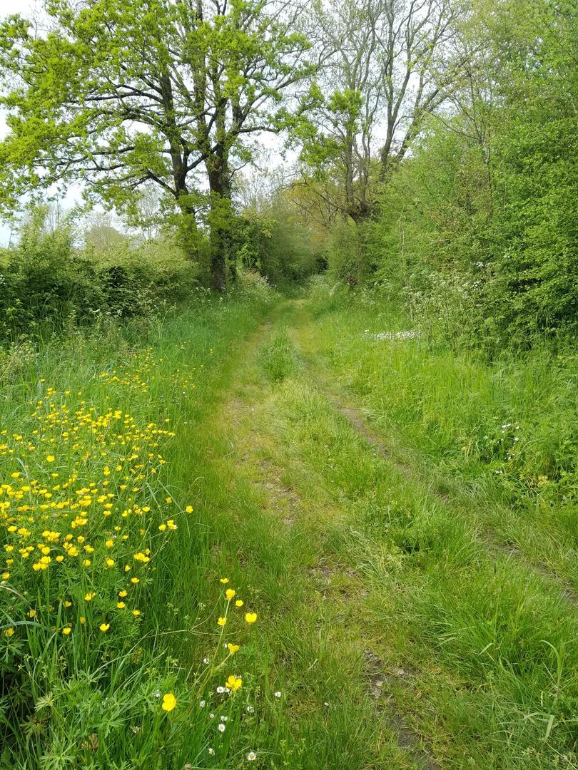 230727-visite-estivale-neuvy-bouin