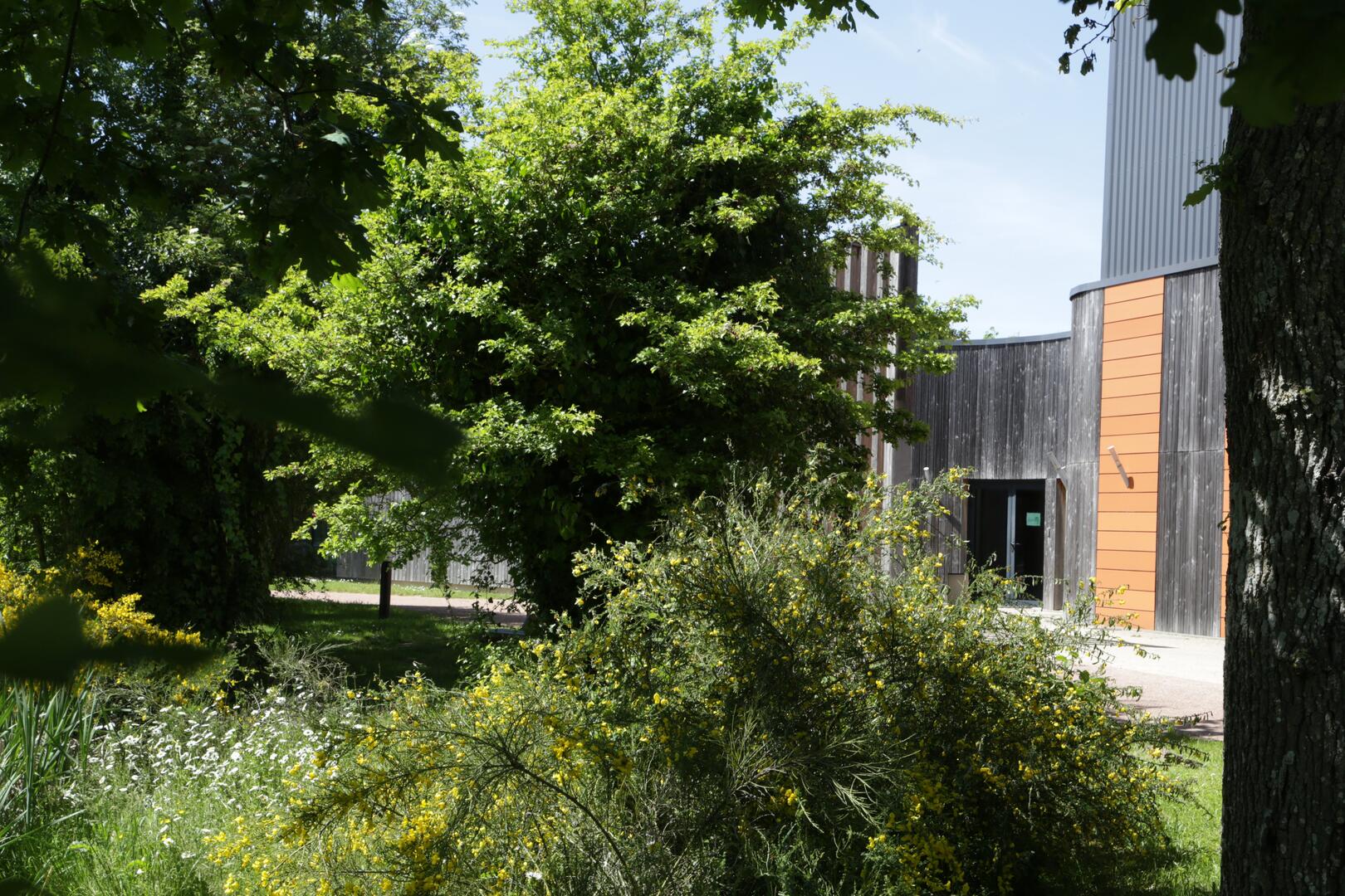 Bâtiment Cyprès