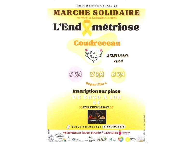 Marche solidaire_endometriose