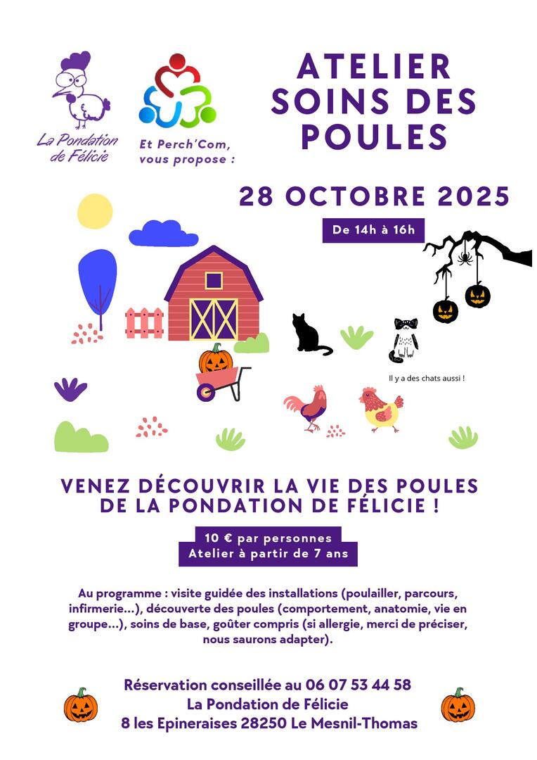 Affiche Pondation de Félicie & Perch Com 28 octobre-page-001