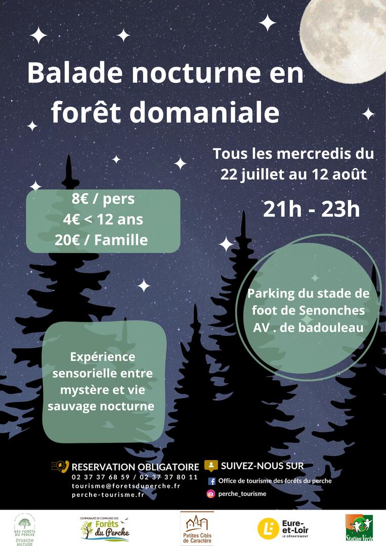 Affiche balade nocturne - 1