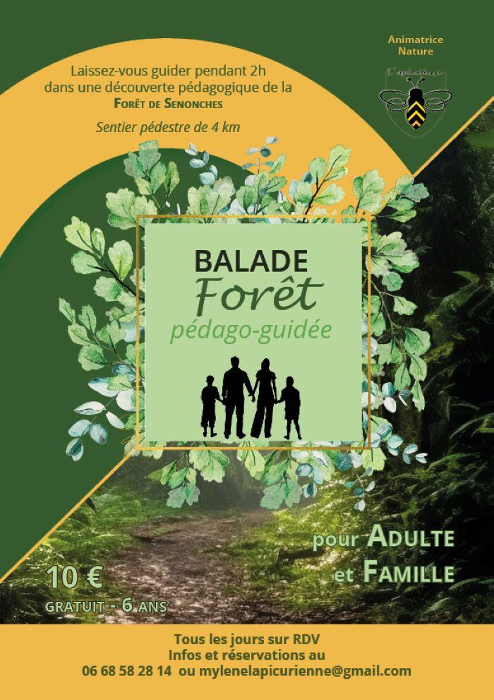 BALADE FORÊT - Senonches