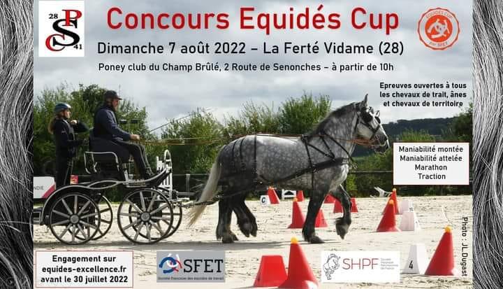 Concours équidés 7 août champ brulé