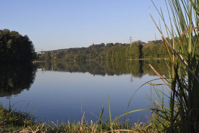 DSC0118-690x460