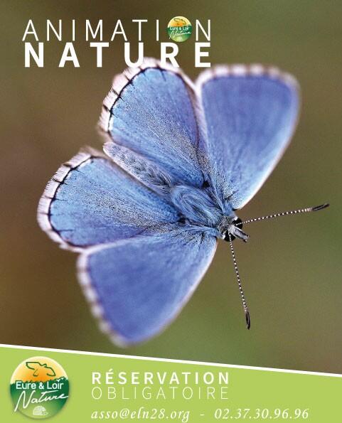 Eure et loir nature 3 Colette Cense