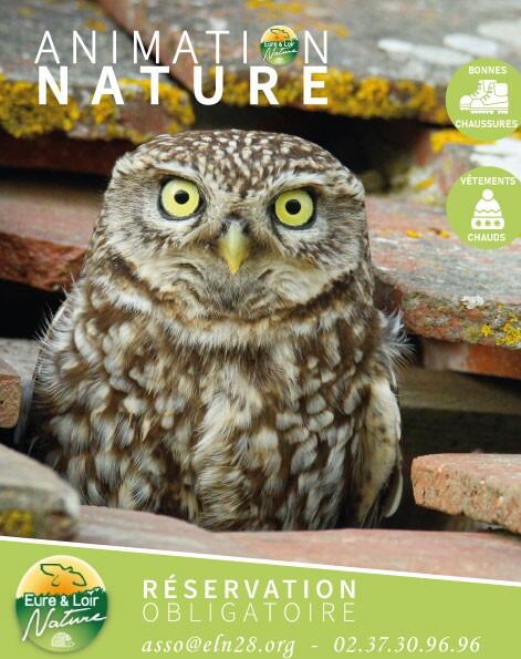 Eure et loir nature 4 - Pierre Morin