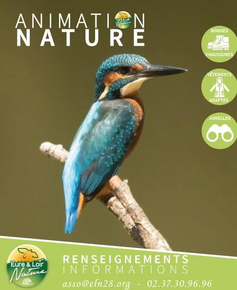 Eure et loir nature 5 - Maxence Pelletier