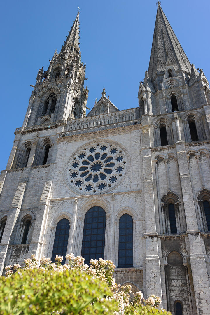 Façade de la Cathédrale - Contre plongée -