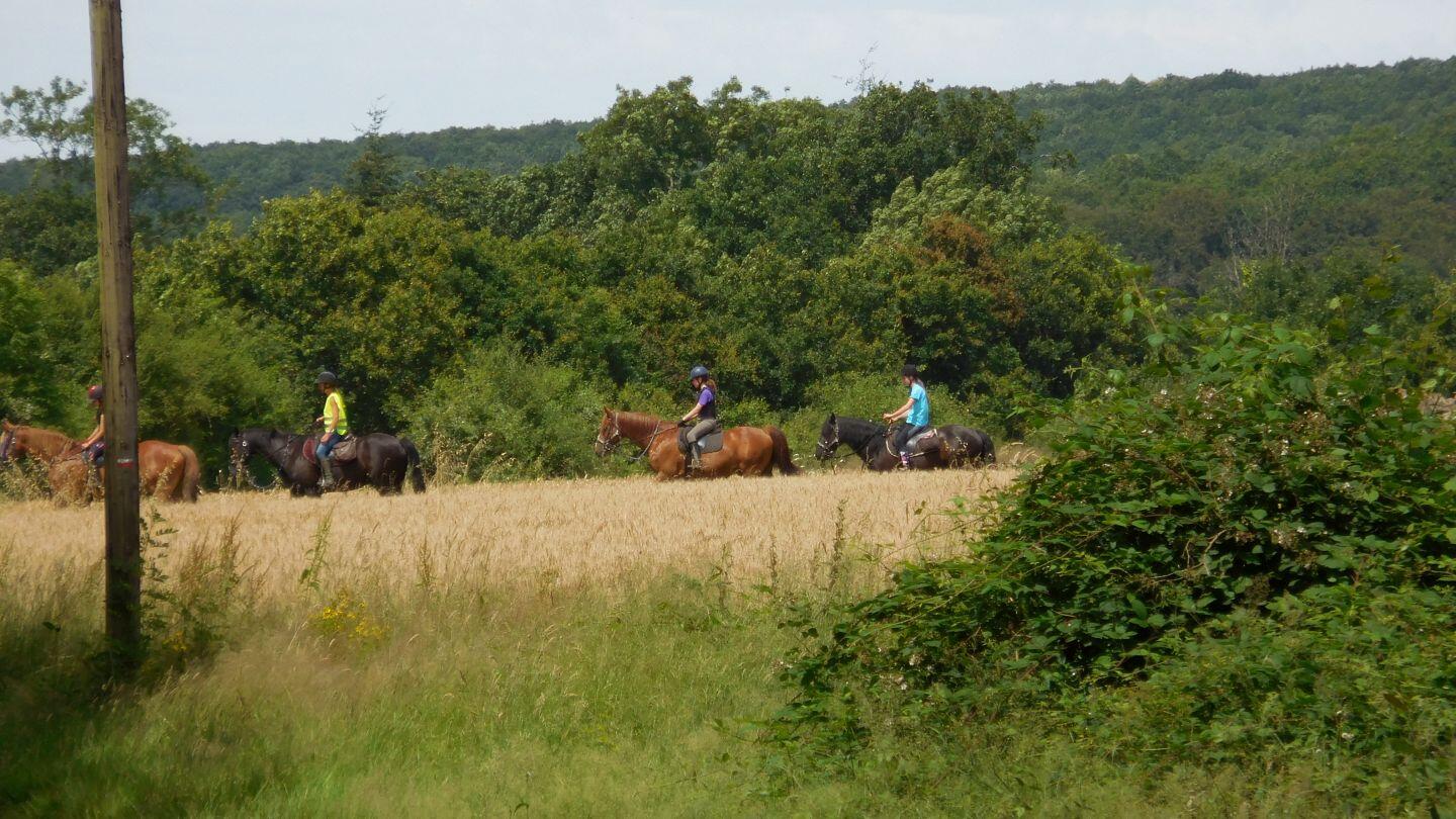 Ferme-equestre-de-Montecot