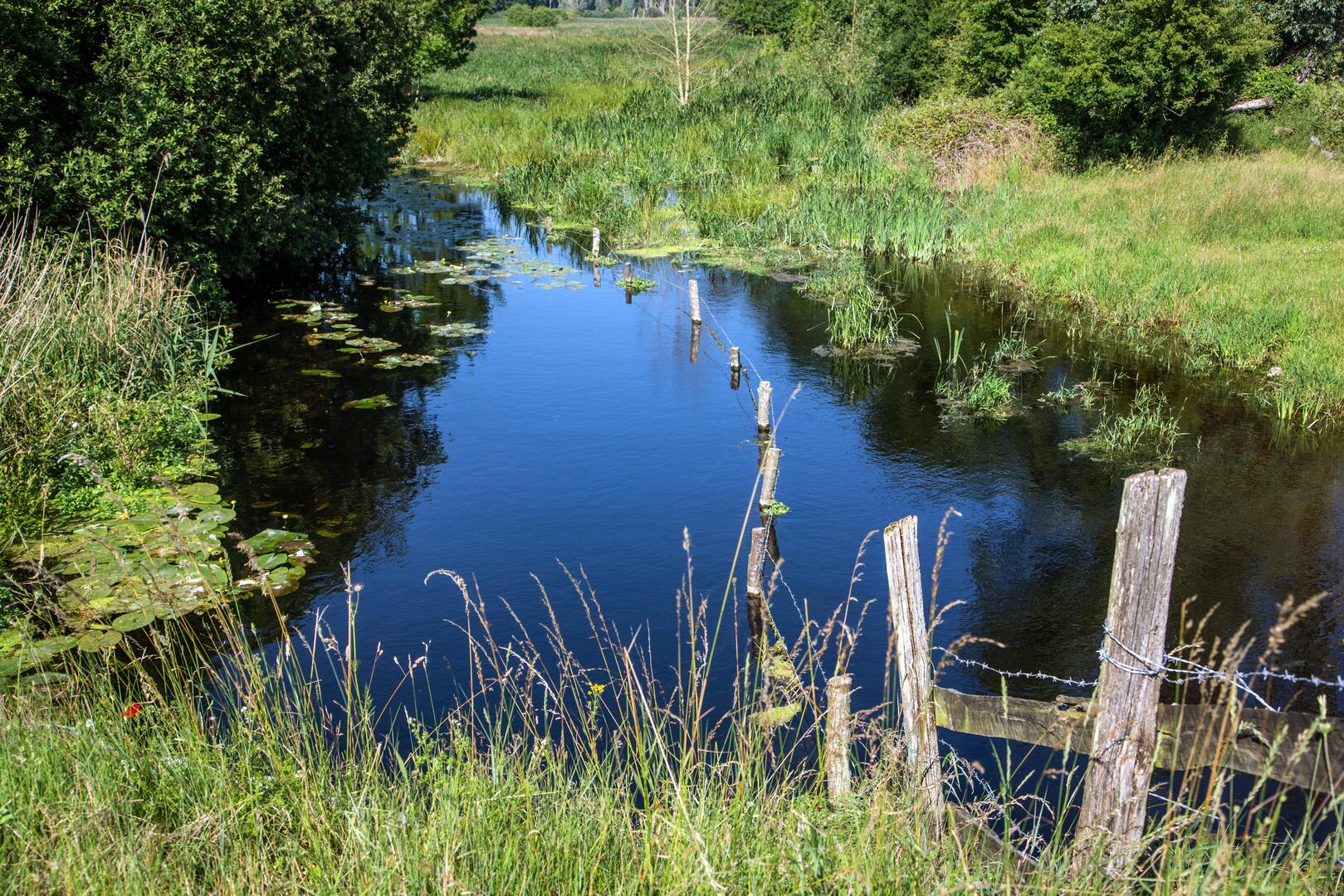 Sentier Nature de Douy