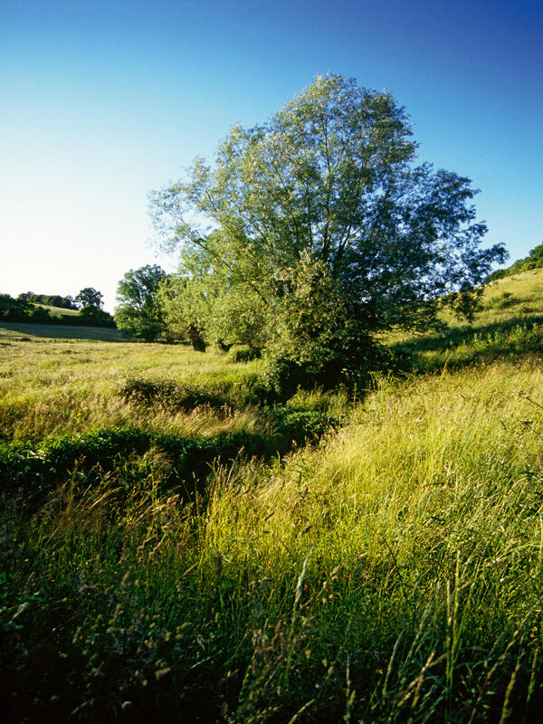Le moulin d'Arcisses - Margon
