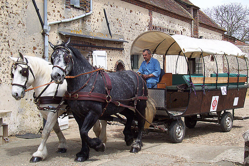 Les écuries des Landes