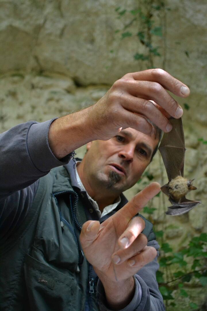 PNRP---Chauves-souris