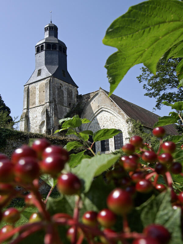 Par les chemins creux