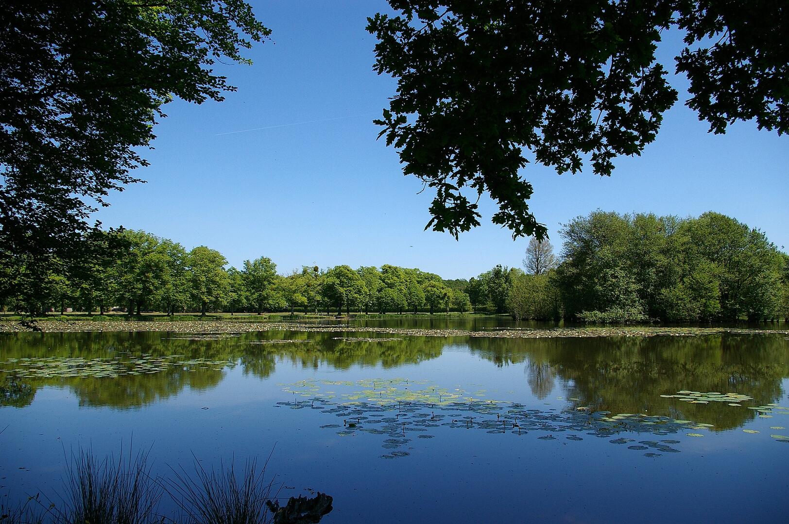 Printemps parc du château