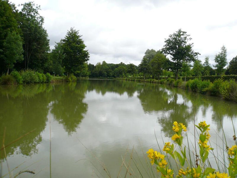 Plans d'eau Gilbert Lecomte 1et 2