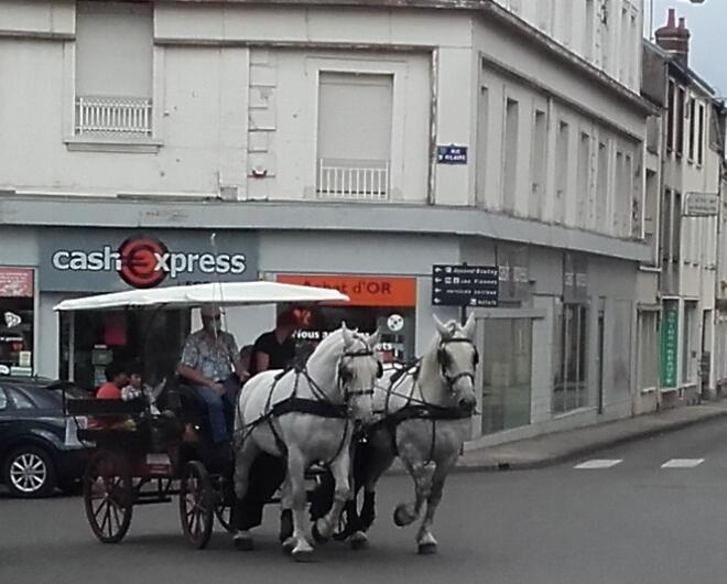 SISSY SIREINE NOGENT LE ROTROU (2) (1)