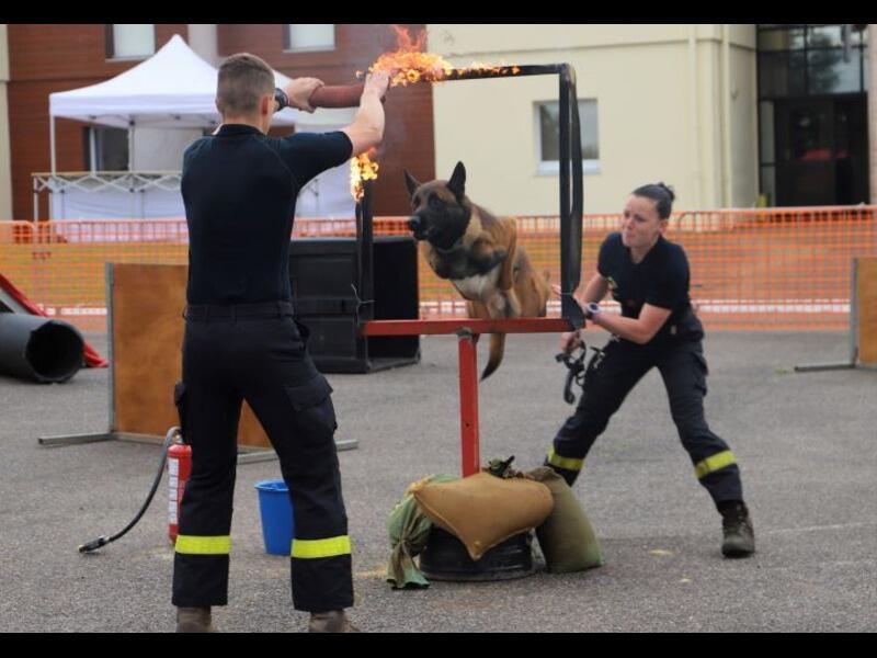 Sécurité Civile NLR (2)