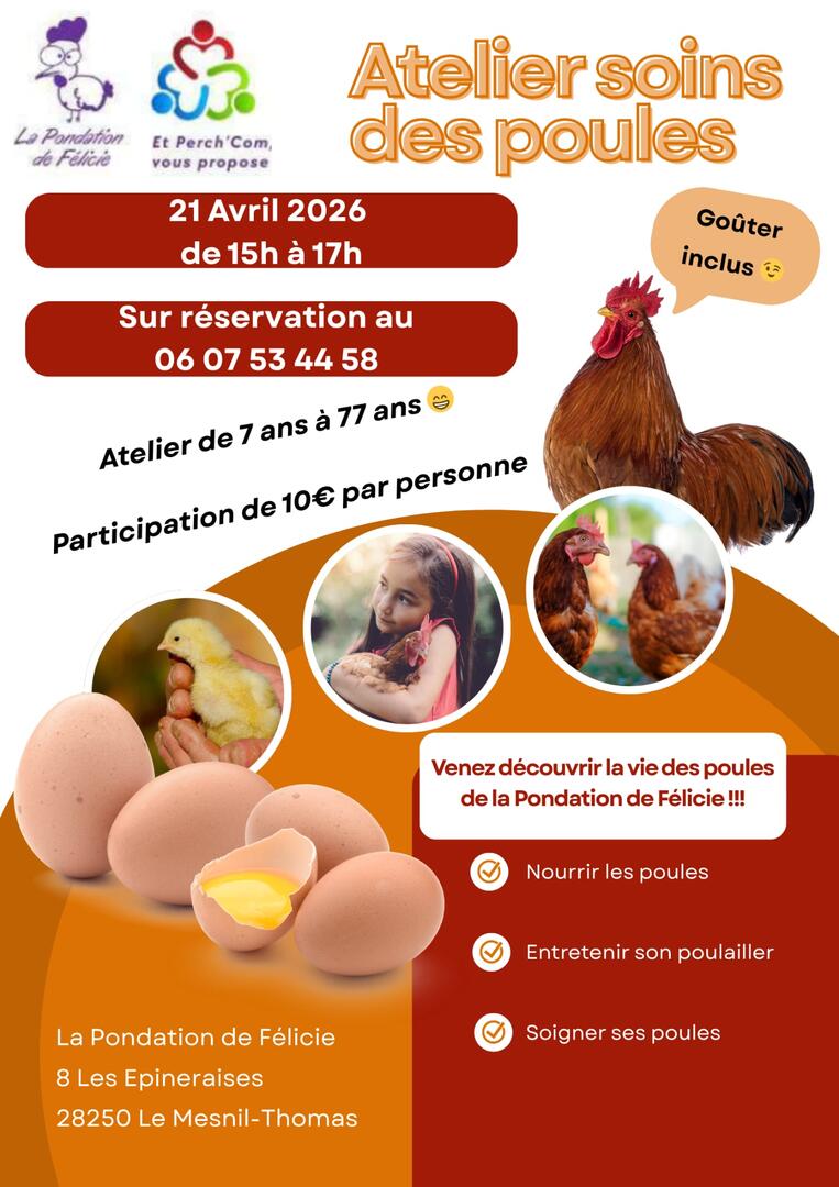 Soin des poules 2104