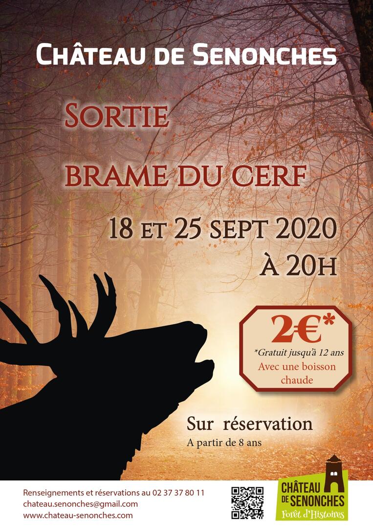 Sortie brame du cerf 2020.indd