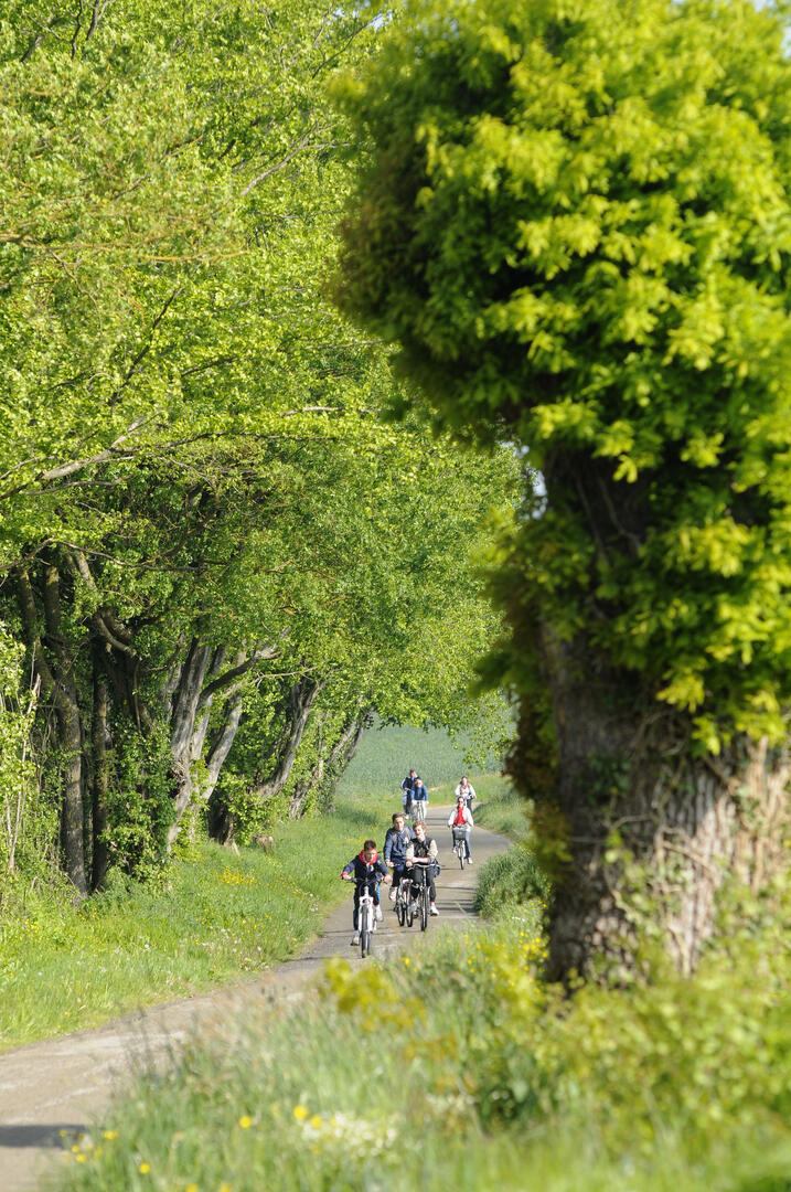 Sur les terres de Guillaume Gouet