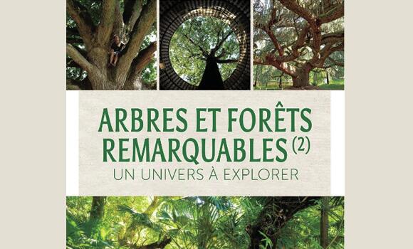 arbres28