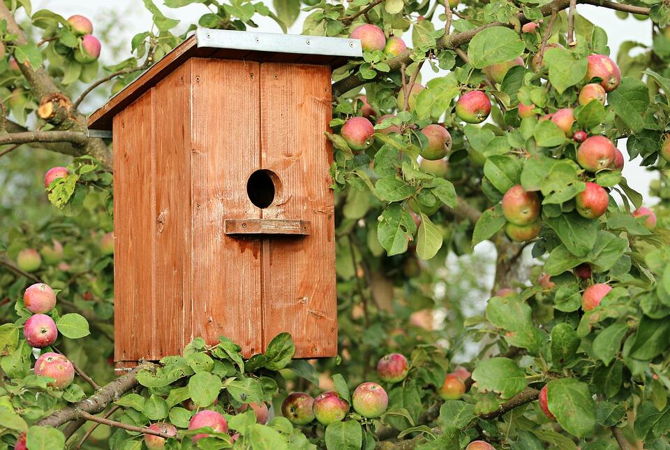 birdhouse-1537806_960_720