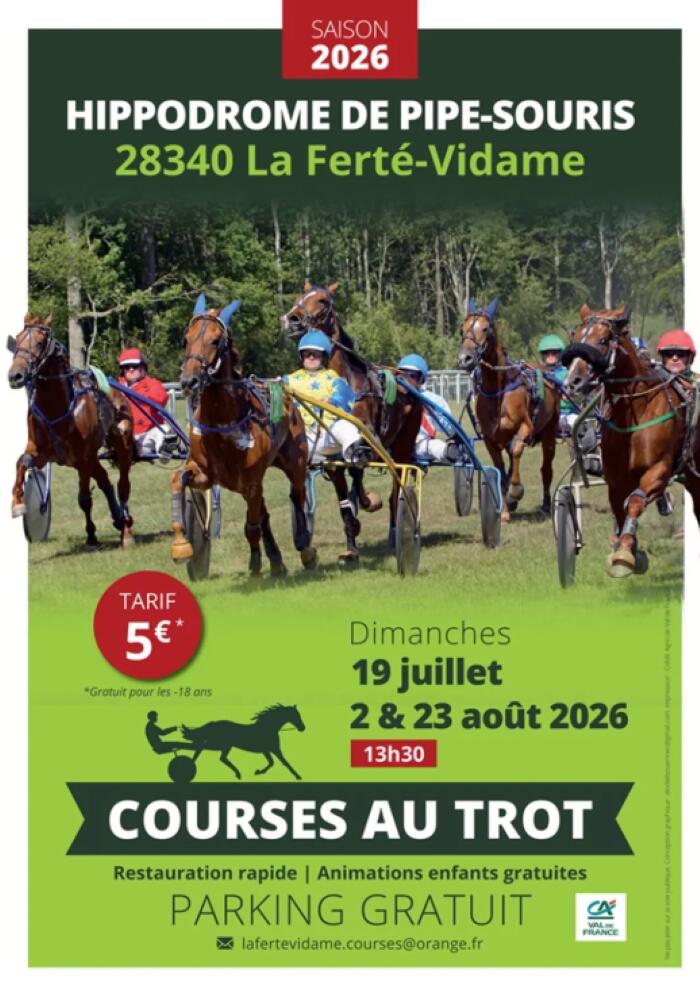 courses hippiques LFV