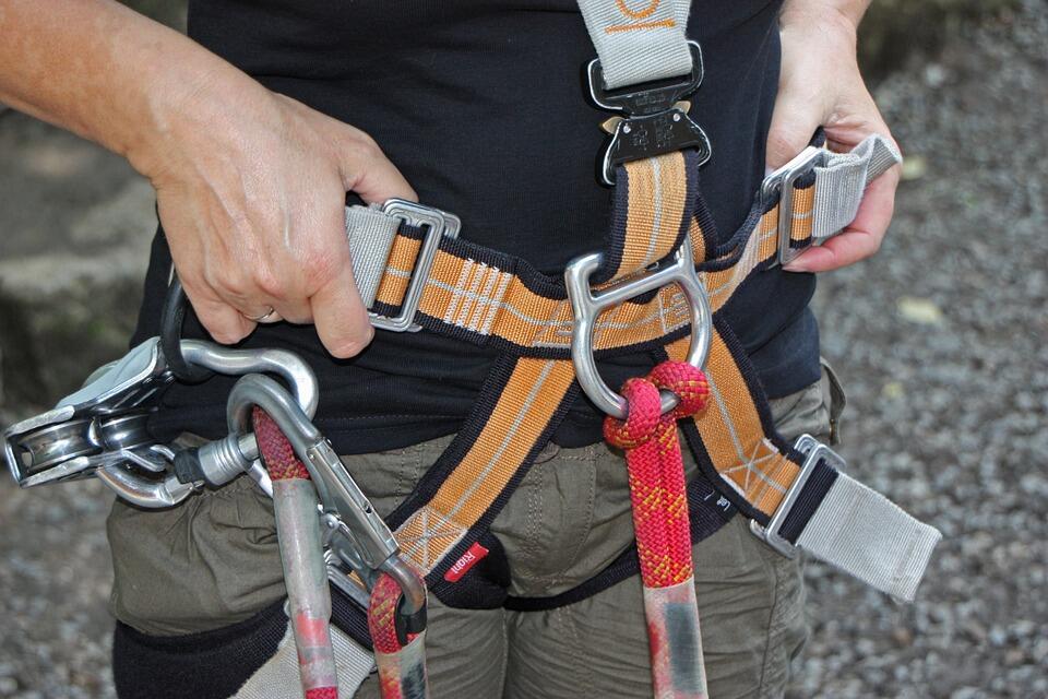 forest-climbing-park-931256_960_720