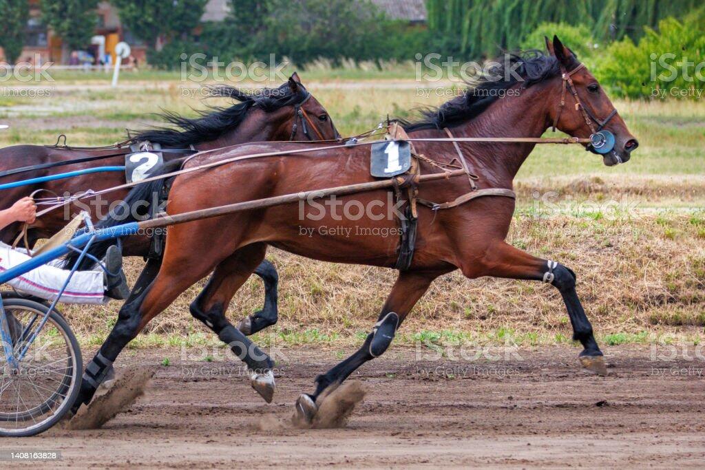 istockphoto-1408163828-1024x1024