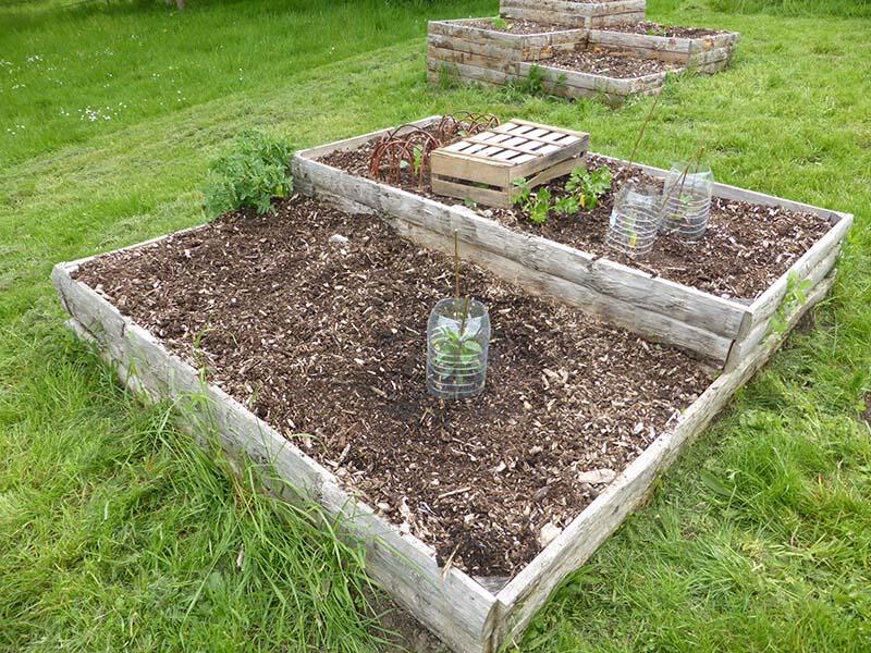 jardin 5 JUIN 800X600