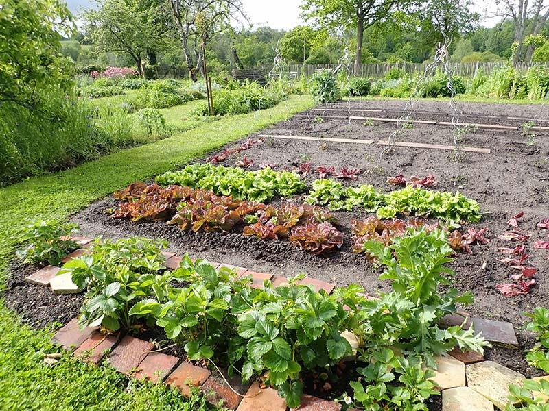 jardin