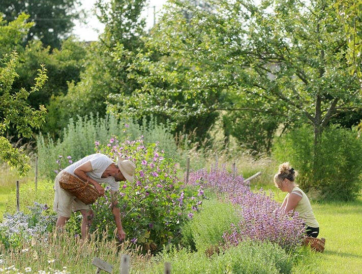 jardin Solstice