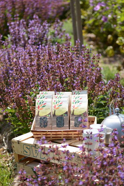 jardin solstice