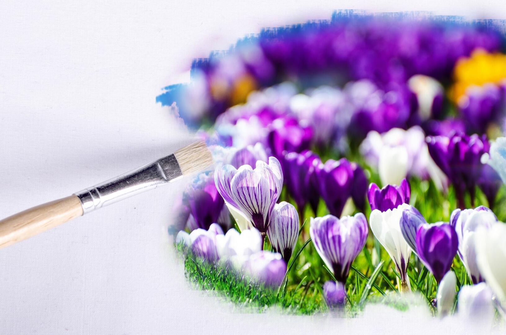 paintbrush-316697