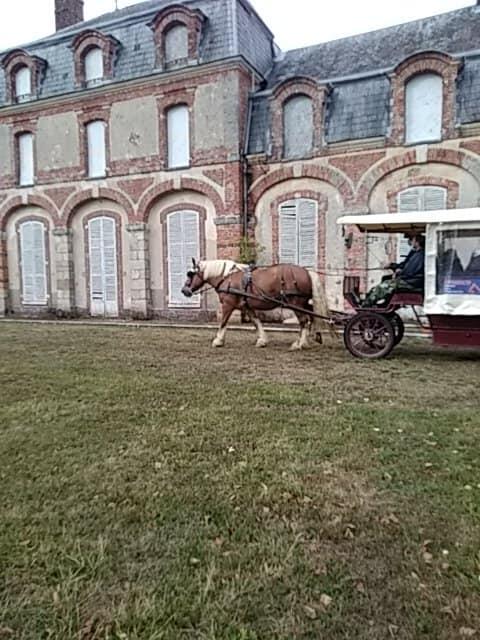 photo calèche emeline