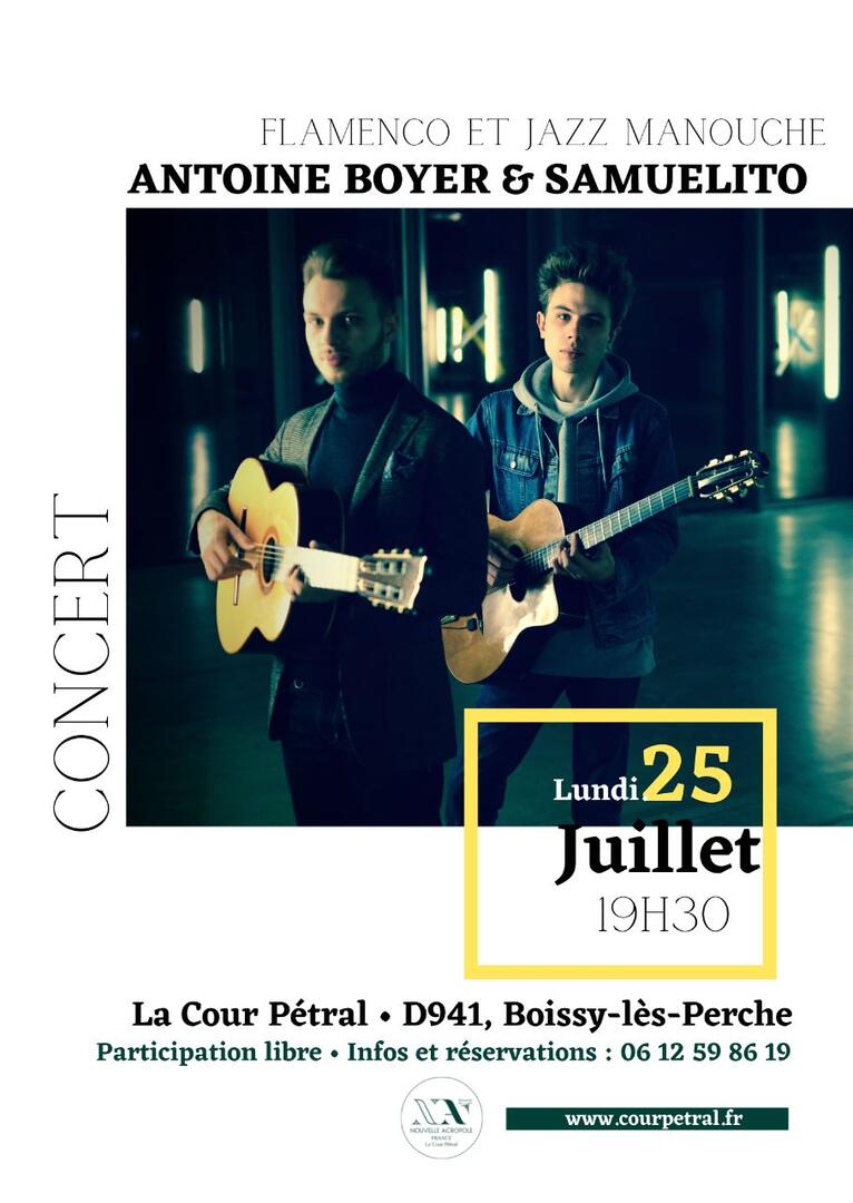 photo concert guitare