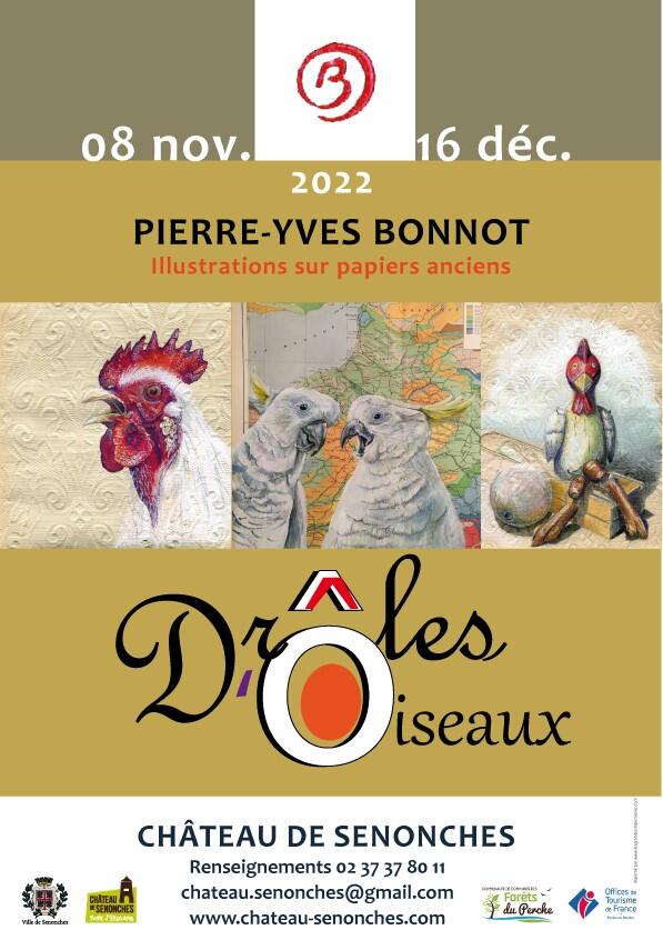 thumbnail_Affiche-Drôles-d'oiseaux2 expo château du 8 novembre au 16 décembre