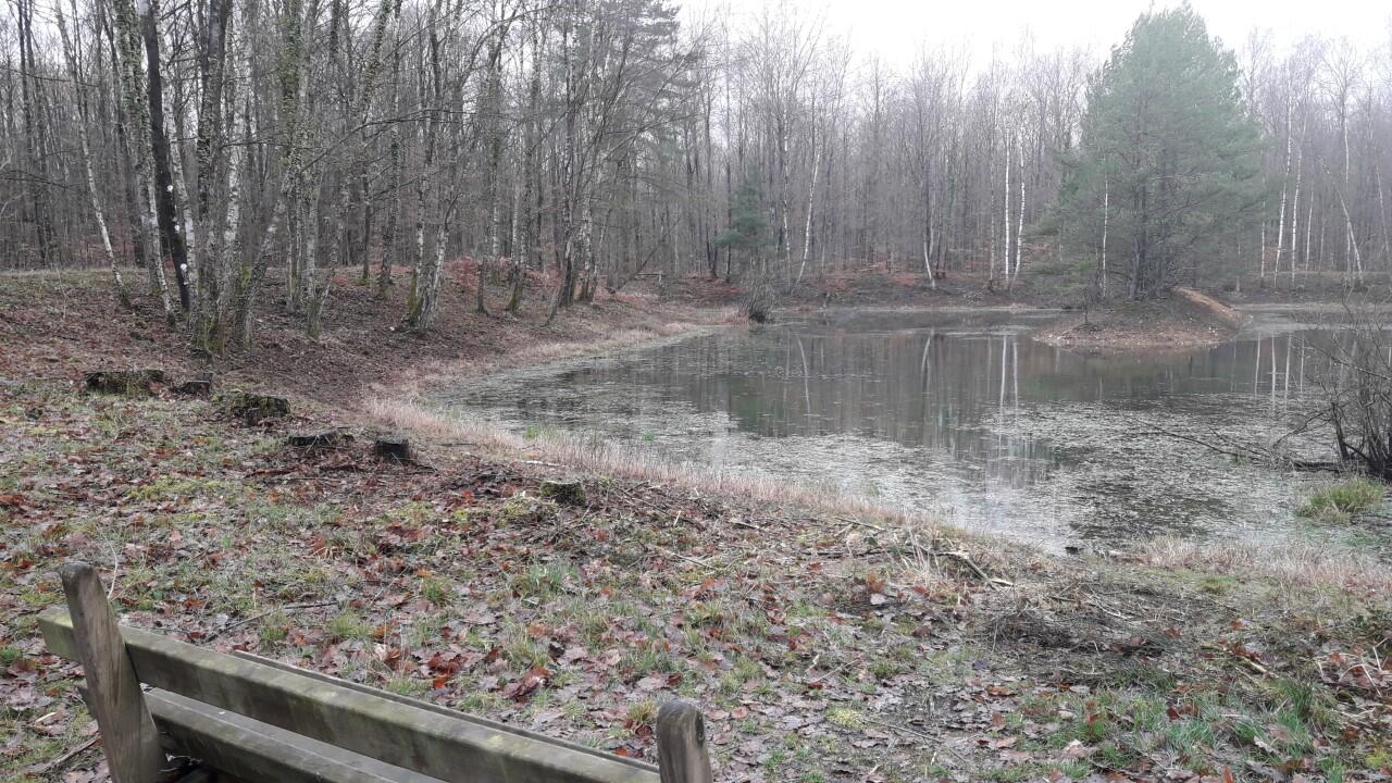 thumbnail_SEN P.162 après