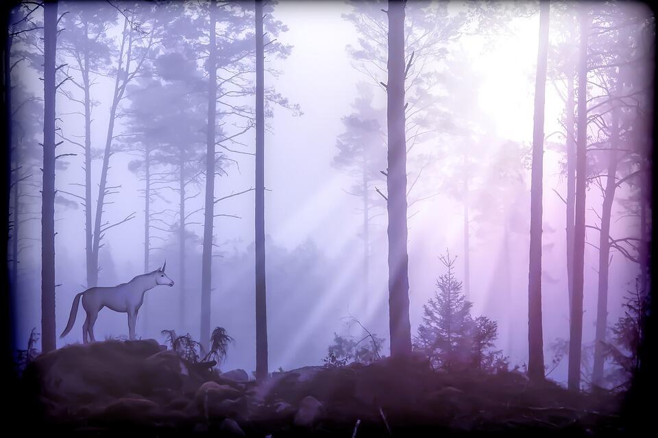 unicorn-2863384_960_720