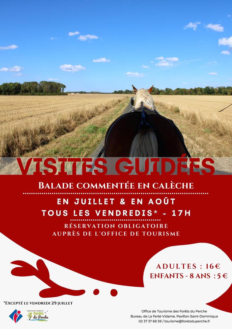 visite guidées en calèche