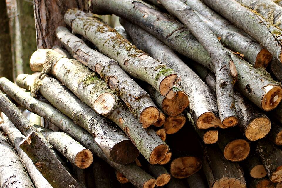 woodpile-1698332_960_720
