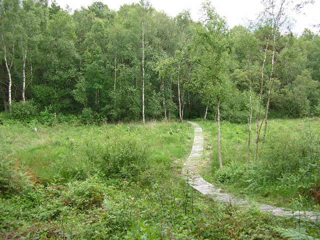 zone-ouverte
