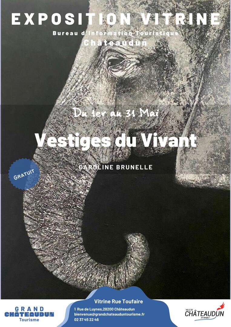 05-01 exposition Vestiges du Vivant
